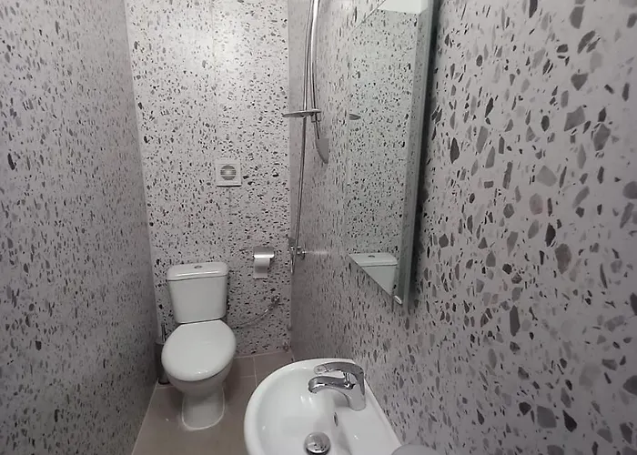Pensión Eriks